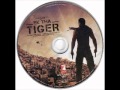 Laapata Song - Ek Tha Tiger Salman Khan & Katrina Kaif