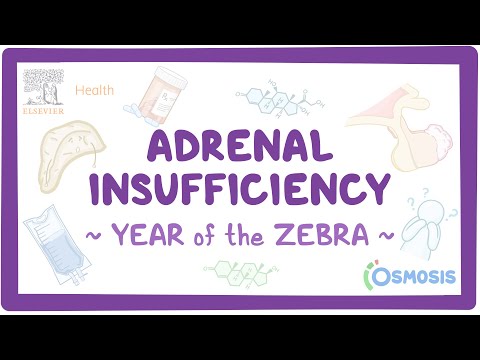 Adrenal insufficiency (Year of the Zebra)