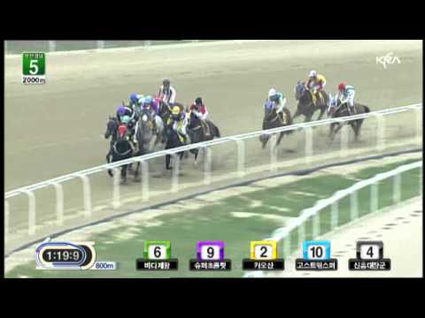 Ghost Whisper winning his 7th race!