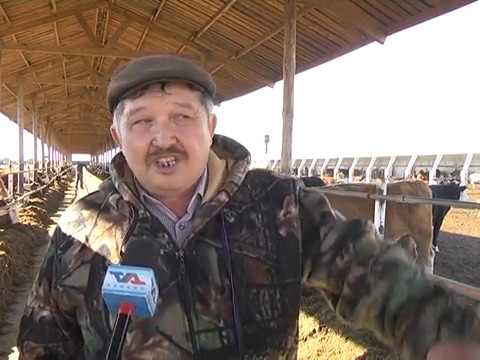 Выпуск программы «День» от 10 октября 2018г.