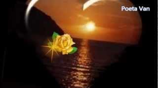 Roberto Carlos - A Mulher que eu Amo