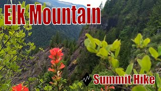 Hiking Elk Mountain Trail