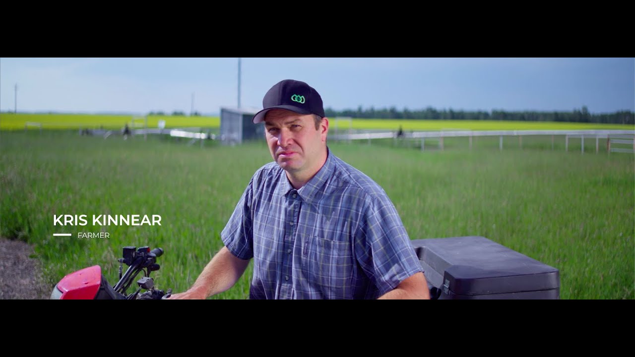 Why are small oil and gas companies going bankrupt?