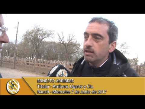 07-06-17 Nota Ernesto Arribere - Arribere, Ugarte y Cia - Rauch.