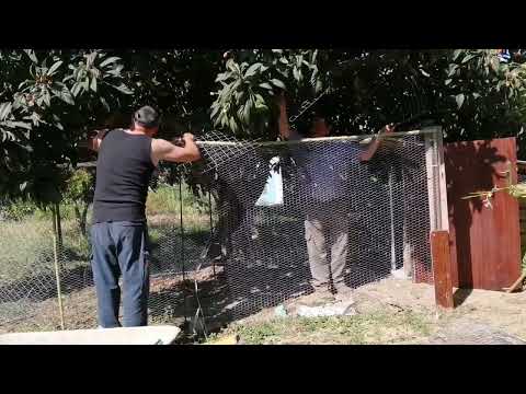 #Geheimprojekt Hühnerstall Teil 2