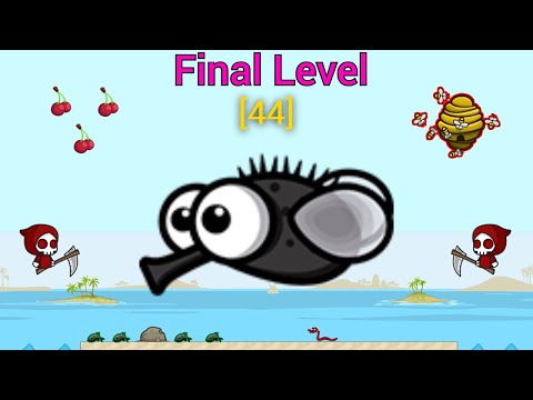 Final Level Of The Game (EvoWorld.io) All Animals Evolution And Finally Level 44