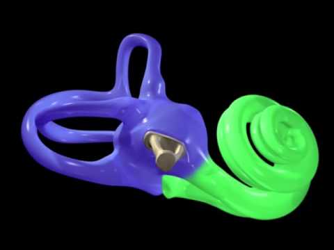 download lagu mp3 mp4 Oreille Interne, download lagu Oreille Interne gratis, unduh video klip Oreille Interne