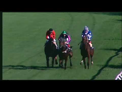 Napoli Galoppo 08/11/2022 - 1ª corsa