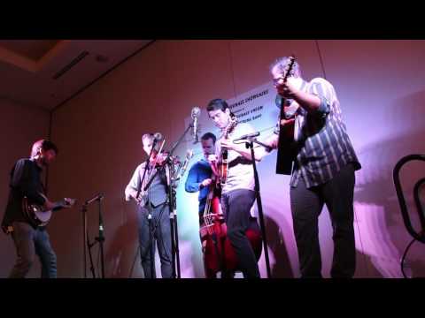 Brain Worms at IBMA 2016