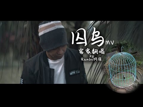 彭羚, 张宇 - 囚鸟