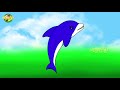 Dolphin Kids World Cartoon Finger Family Rhymes Kids World 2d Animated Rhymes