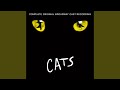 Prologue: Jellicle Songs For Jellicle Cats