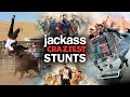 Jackass Craziest Stunts