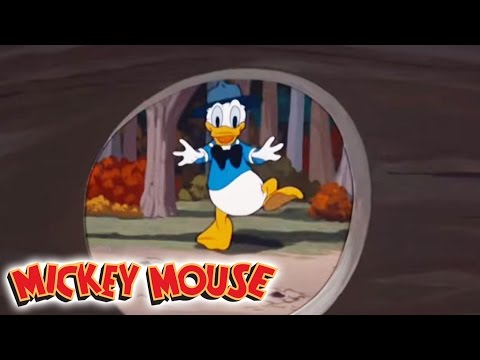 Micky Maus Kicherkracher - Kurzfilm: Donald und die Eicheldiebe | Disney Channel