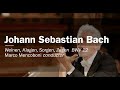 Johann Sebastian Bach Weinen, Klagen, Sorgen, Zagen BWV 12 Marco Mencoboni Conductor