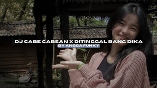 Download lagu DJ CABE CABEAN X BANG DIKA BY ANGGA FVNKY VIRAL FYP TIKTOK MENGKANEE!! mp3