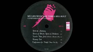 My Life with the Thrill Kill Kult — Ride the Mindway