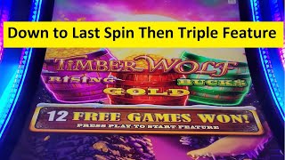 TimberWolf Triple Power Slot Super Big Win! Aristocrat Video