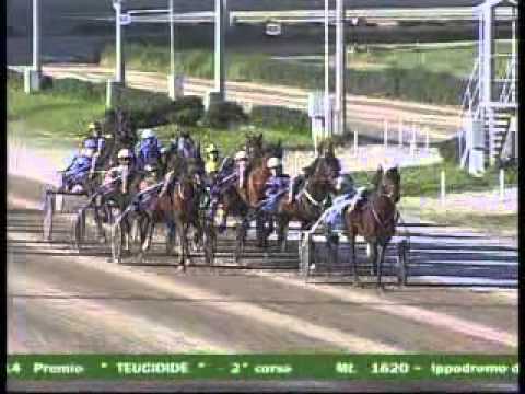 IPPODROMO PALERMO "LA FAVORITA"-- 2° CORSA