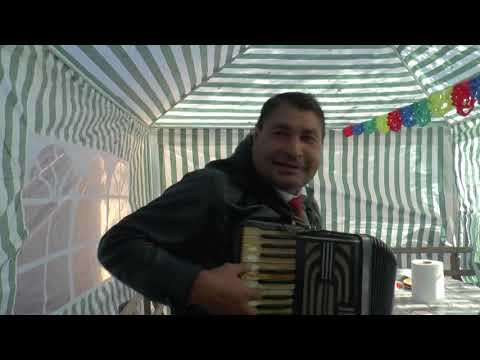 Vlaicu Aurel Viisoara