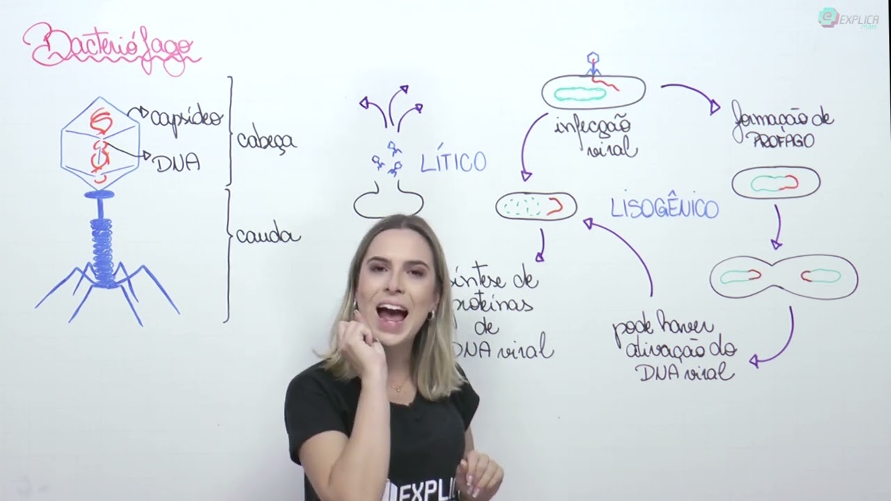 BIOLOGIA CELULAR - BACTERIÓFAGO | Prof. Cinthia