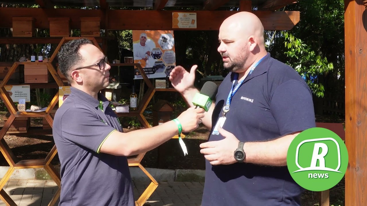 Abelhas sem ferrão ganham espaço na Expointer e mostram importância para a agricultura