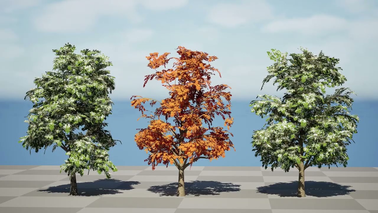 British Sycamore Tree 3D Model