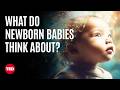 Inside The Mind Of A Newborn Baby Claudia Passos Ferreira TED