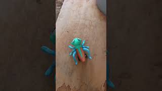 Download lagu Funny frogs Catching |Wep wep catching frogsfunny |boing catch frogs make you laugh #shortsfeed mp3