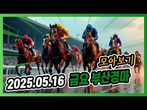 2025년 5월 16일 금요 부산경마 전체경주 모아보기