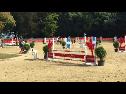 Finał Majka i Niwka HD