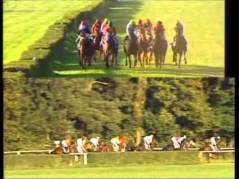 Galopprennbahn Dresden - 25.09.2011 - 8.Rennen