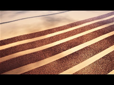 8 Strong Wall Of Orcs Vs 35,000 Roman Generals | Ultimate Epic Battle Simulator 2 | UEBS2