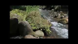 And I Love Her (Herb Alpert &amp; The Tijuana Brass)