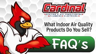 What indoor air quality products do you sell?