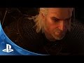 GamesSoftware 2011667 - відео