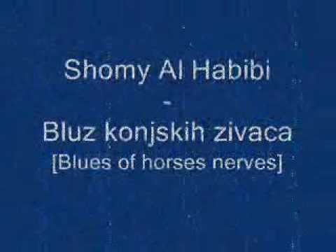 Shomy Al-Habibi - Bluz konjskih živaca [Blues of horses nerves]