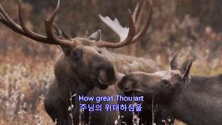 How Great Thou Art - Anne Murray: Alaska in Winter Time