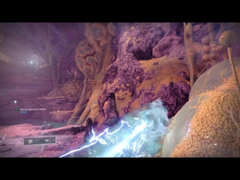 Destiny 2 - Kepler Erkundung (Mythisch) - Die Stellare Senke👍😉🤟