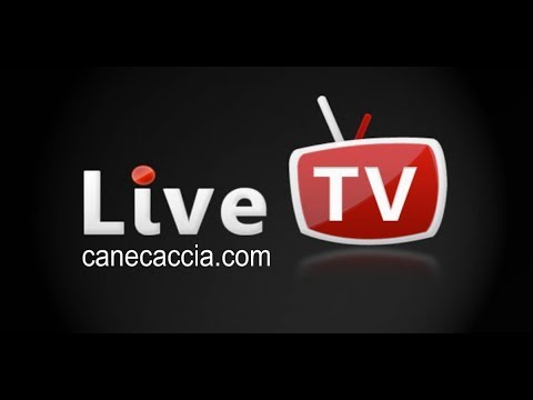 Bellini Gorle - Olimpia Lumezzane