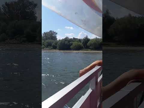 Dunarea la Giurgiu 2022