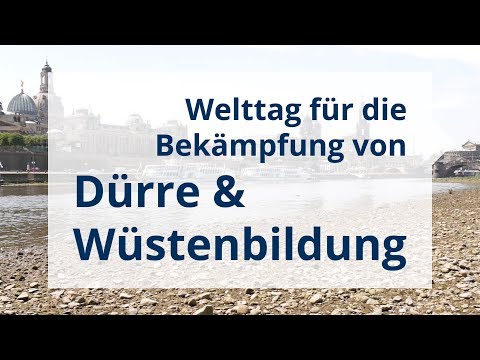 Welttag für die Bekämpfung von Dürre und Wüstenbildung
