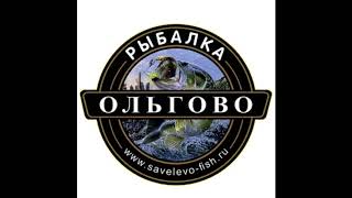 Отчеты о рыбалке в ольгово