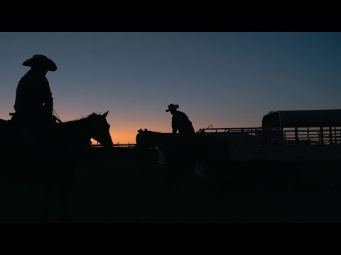 Cavender’s - Customer Success Story