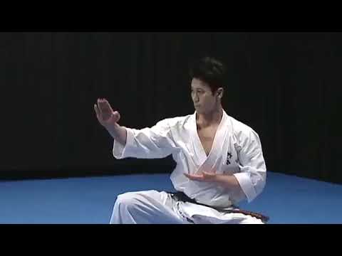 Shinkyokushin Kata - Garyu 新極真会型臥竜