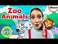 Zoo animals for toddlers | Sing, Dance & Learn with Miss Sarah Sunshine