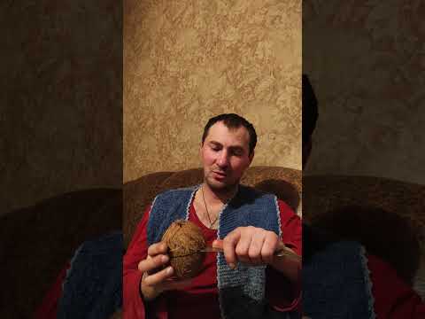 Как и чем разрезать кокос. How and what to cut the braid.  #чем_разрезать_кокос #Shorts #coconut_nut