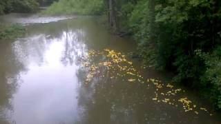 preview picture of video 'Sunbury-Galena Rotary Club Mud Flats Duck Derby 2010'
