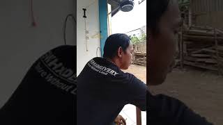 Download lagu Komeng ngopi bay mp3 Download lagu Komeng ngopi bay mp3