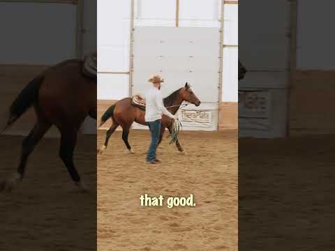 Fixing common lunging problems